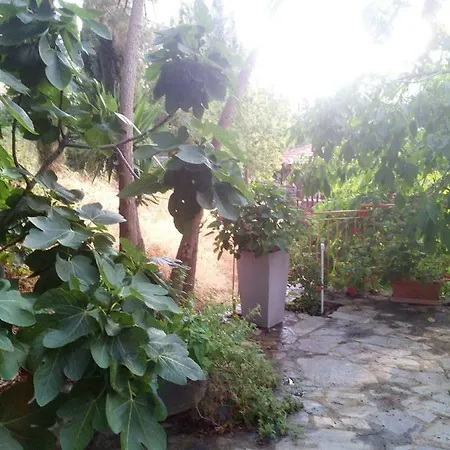 Orman Evi Kampi Double Storey House In The Village