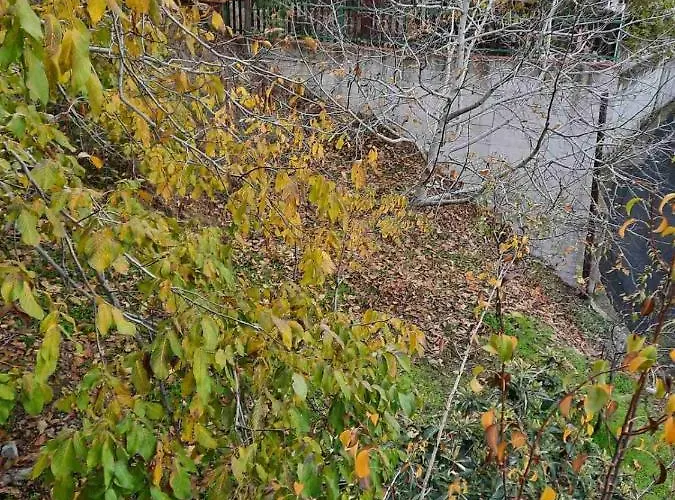 Kampi Double Storey House In The Village بيت خشبي نيقوسيا