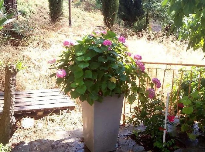 بيت خشبي Kampi Double Storey House In The Village *