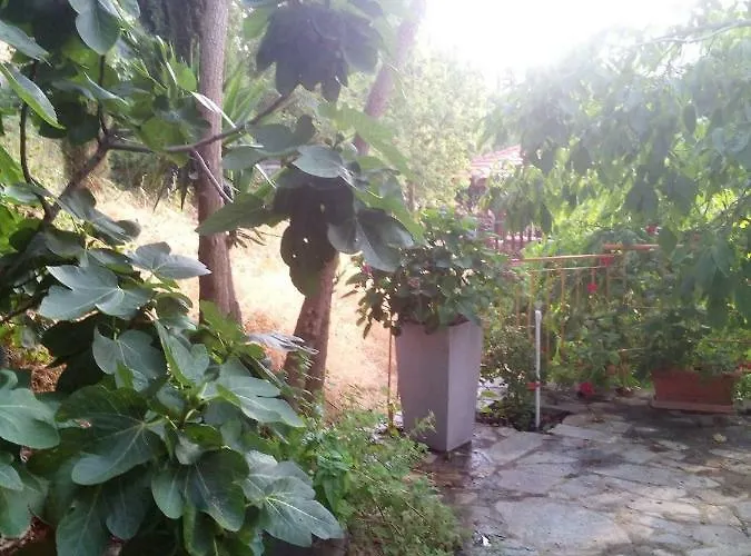 山林小屋 Kampi Double Storey House In The Village