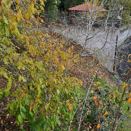 Kampi Double Storey House In The Village Lodge Nicosia